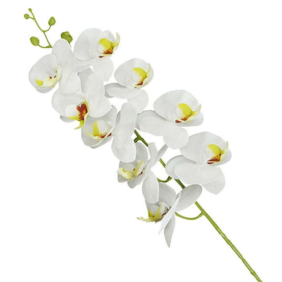 Orchid Plant for Artificial Flowers,Orchids Artificial,Orchid Arrangement ,Purple Orchid Plant Perfect Packaging 1Pc 3D Print Flower Butterfly Orchid Garden DIY Party Wedding Decor