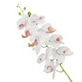 thumbnail image 1 of Orchid Plant for Artificial Flowers,Orchids Artificial,Orchid Arrangement ,Purple Orchid Plant Perfect Packaging 1Pc 3D Print Flower Butterfly Orchid Garden DIY Party Wedding Decor, 1 of 8