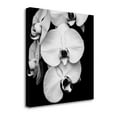 thumbnail image 1 of Orchid Portrait I By Jeff Maihara, 35" x 35" Fine Art Giclee Print on Gallery Wrap Canvas, Ready to Hang, 1 of 2
