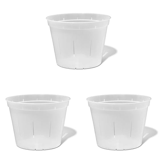 Orchid Pot -10 inch Slotted Clear Plant Pots - 3 Pack ()