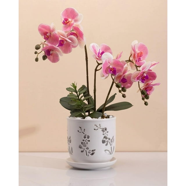 Orchid Pot, 6.5 inch Large Orchid Pots with Holes for Healthy Growth and Easy Repotting, Premium Ceramic Orchid Planter for Indoor and Outdoor Use, Perfect Home for Your Orchids to Thrive