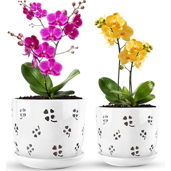 Orchid Pot, 6 Inch and 5 Inch Large Ceramic Orchid Planter with Drainage Holes and Saucer, Decorative Flower Pots for Indoor Outdoor Plant Repotting, Succulent, Good Air Circulation, 2 Packs