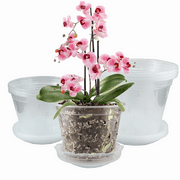 REDODCO Clear Plastic Flower Plant Pot with Drainage Holes and Saucers (6 Count)