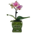 thumbnail image 1 of W&W Orchid Pot with Holes and Saucer for Orchid Repotting and Better Grow, SeaGreen, 5.5 inches, 1 of 7