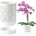 thumbnail image 1 of Orchid Pots with Holes,4 Inch Ceramic Orchid Pot for Repotting, Flower Planter Pot Indoor Outdoor, Breathable Slotted Orchids Planter White, 1 of 6