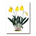 thumbnail image 1 of Orchid Retro Flowers 24 in x 32 in Painting Canvas Art Print, by Designart, 1 of 4