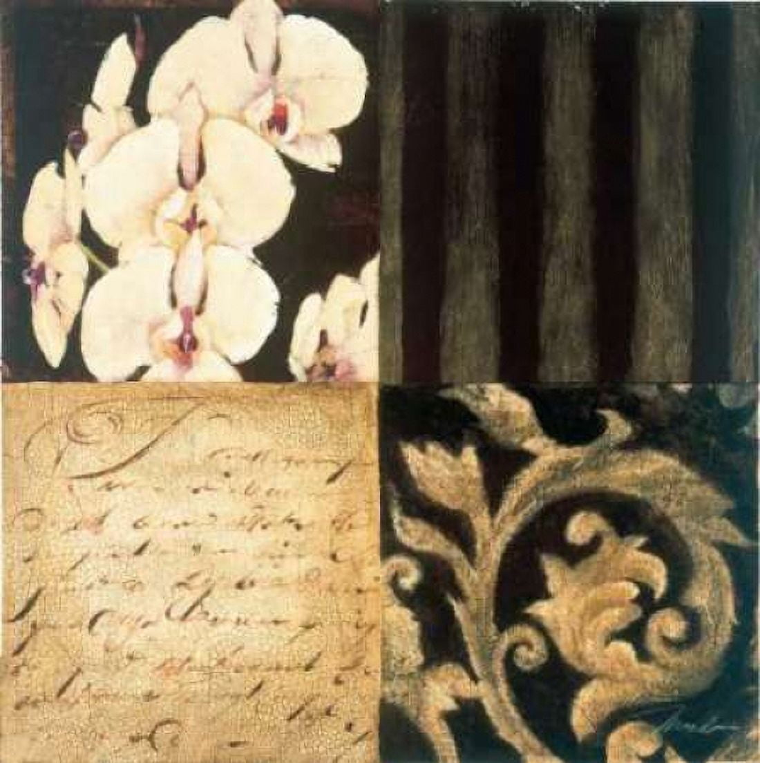 Orchid Sketch I Canvas Art - Liz Jardine (24 x 24)