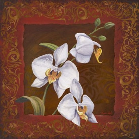 Orchid Study I Canvas Art - Tom Wood (16 x 16)