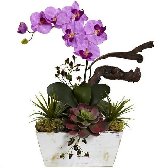 Orchid & Succulent Garden with White Wash Planter, Magenta