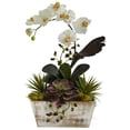 thumbnail image 1 of Orchid & Succulent Garden with White Wash Planter, 1 of 1