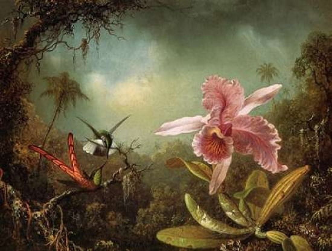 Orchid With Two Hummingbirds Canvas Art - Martin Johnson Heade (18 x 24)