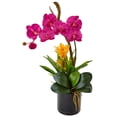thumbnail image 1 of Orchid and Bromeliad Silk Arrangement in Glossy Black Cylinder Vase, 1 of 2