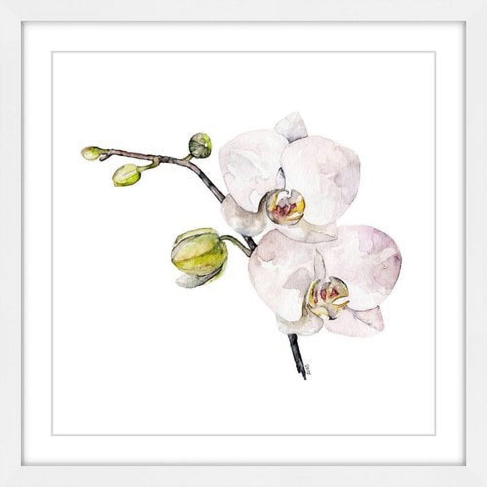 Rachel Byler Orchid Print on Canvas with White Frame