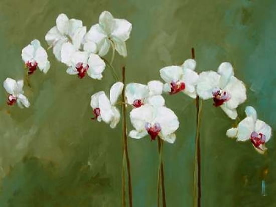 Orchid in Greens Canvas Art - Nicola Acaster (18 x 24)