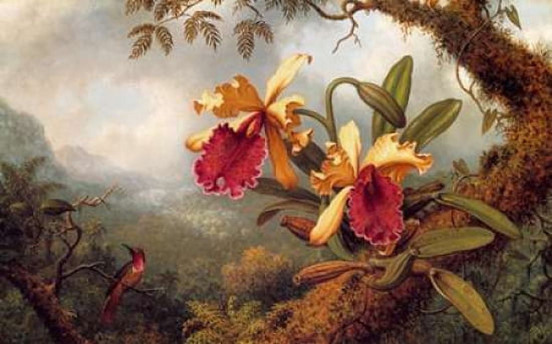 Orchids And Hummingbird Canvas Art - Martin Johnson Heade (12 x 18)