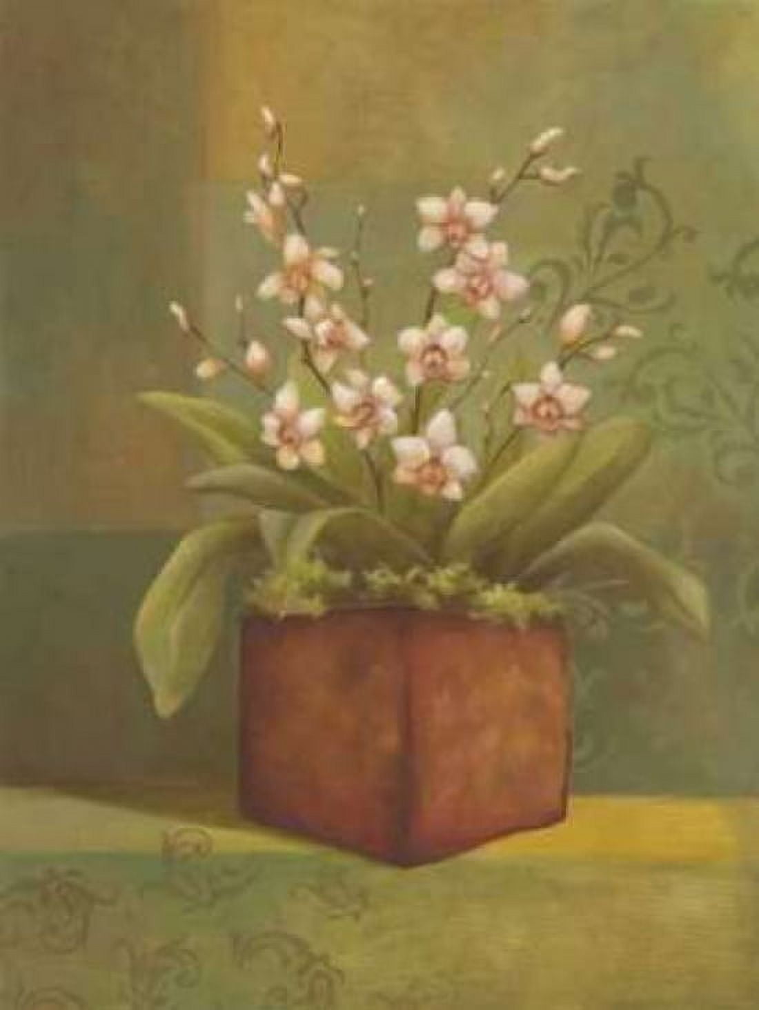 Orchids I Canvas Art - Ella Belamar (22 x 28)