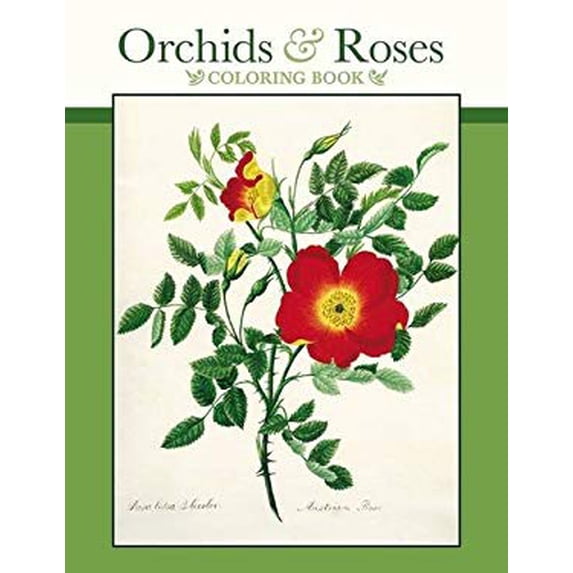 Pre-Owned Cbk Orchids & Roses (Paperback) 0764971182 9780764971181