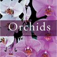 thumbnail image 1 of Pre-Owned Orchids (Hardcover) 2080305573 9782080305572, 1 of 1