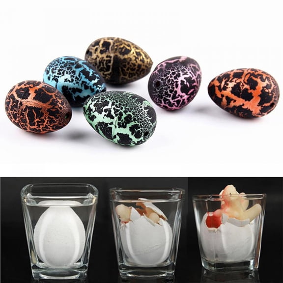 Orchip Dinosaur Eggs, 5Pack, Multicolor, Hatching, Grow in Water