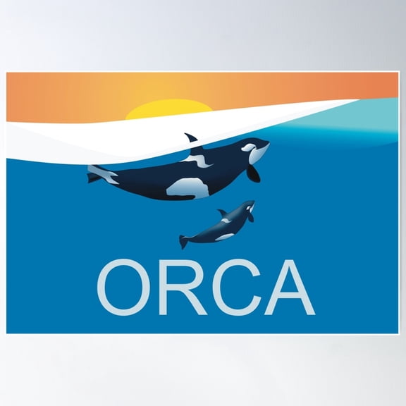 Orcinus Orca Illustration Poster Wall Art, Modern Wall Decor For Living Room Bedroom, 16x24 UNFRAMED