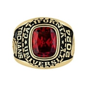 FREESTYLE CLASS RINGS Order Now for 2025 Graduation, Freestyle 10K Yellow Gold Men's Large Classic Stone Class Ring, Personalized, High School or College Graduation