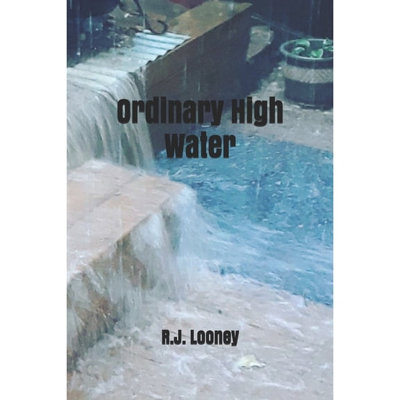 Ordinary High Water (Paperback)