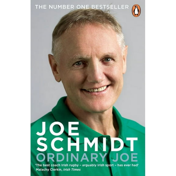 Ordinary Joe (Paperback)