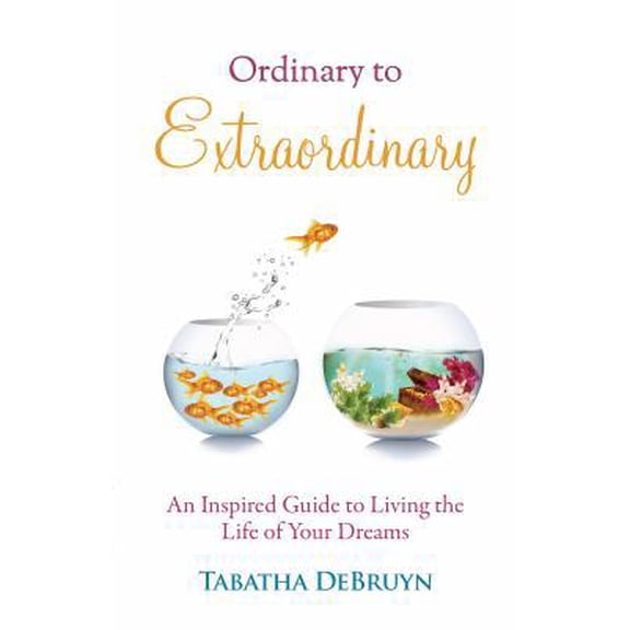 Pre-Owned Ordinary to Extraordinary: An Inspired Guide to Living the Life of Your Dreams (Paperback) 0990957403 9780990957409