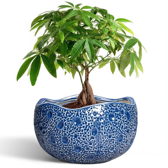 Ordivic 10 Inch Blue Ceramic Planter with Drainage Hole – Large Round Flower Pot for Snake Plants, Monstera, Unique Outdoor Decor