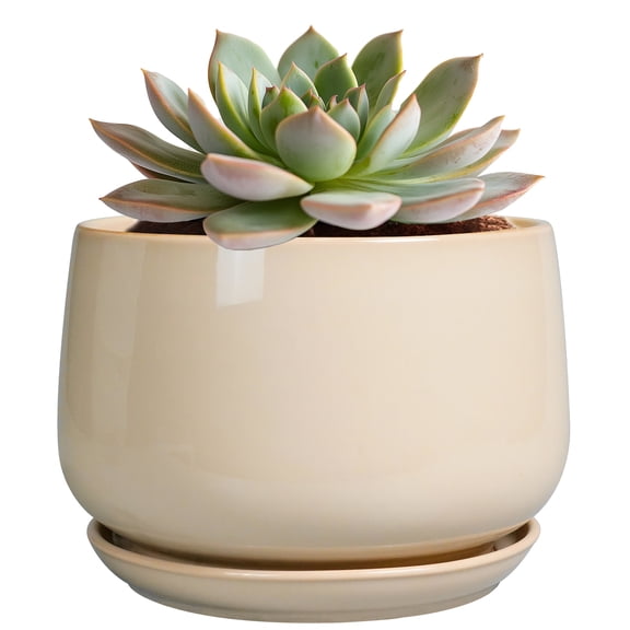 Ordivic 5 inch Beige Ceramic Plant Pot with Drainage Hole & Saucer, Small Desktop Succulent Planter for Mini Cactus,Tiny Aloe,Shelf Kitchen Counter Decor