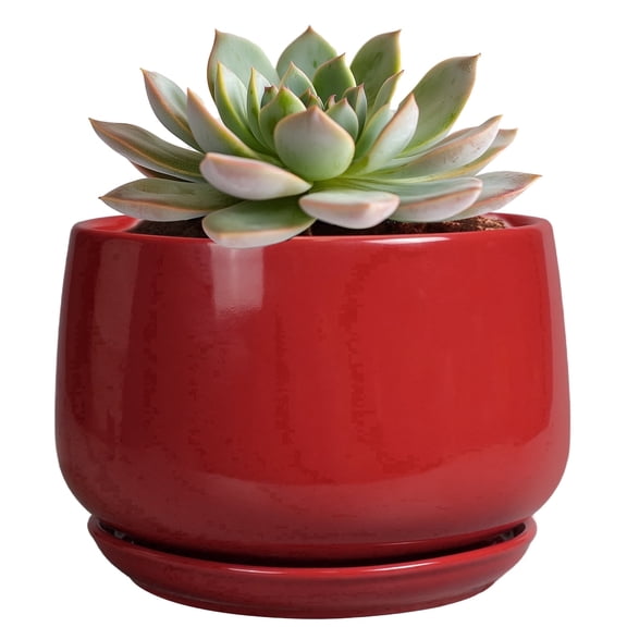 Ordivic 5 inch Red Decorative Ceramic Plant Pot with Drainage Hole & Saucer, Small Indoor Succulent Planter for Cactus, Mini Pothos, Desk Windowsill Decor