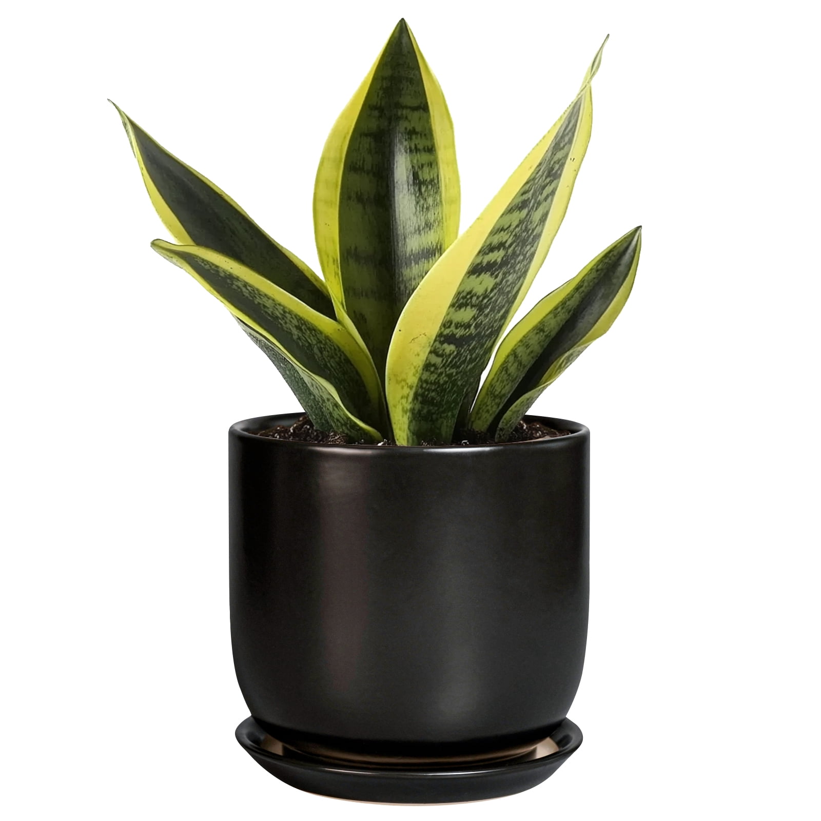 Ordivic 5 inch Black Round Ceramic Plant Pot with Drainage Hole ...