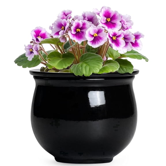 Ordivic 6 inch Black Self Watering Ceramic Planter with Inner Pot,Modern Round Decorative Plant Pot for Indoor Plants, African Violet,Small Houseplants