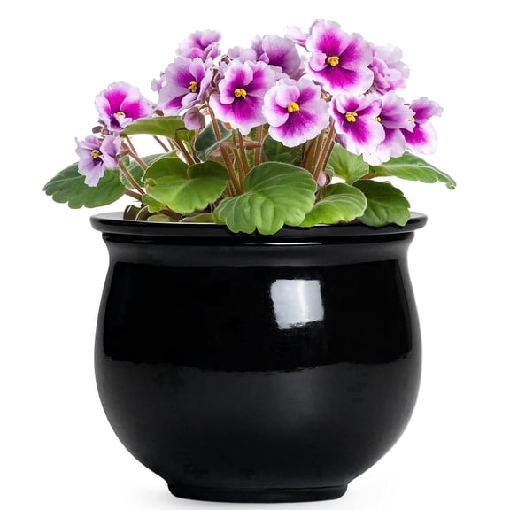 Ordivic 6 Inch Black Ceramic Self Watering African Violet Pot with Absorbent Inner Pot – Round Planter for Indoor Plants, Home Decor, Gift for Plant Lover