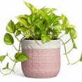 thumbnail image 1 of Ordivic 6 Inch Pink Ceramic Planter with Drainage Hole – Small Round Flower Pot for Succulents, Orchids, Indoor Outdoor, Boho Home Decor, Gift for Plant Lover, 1 of 7