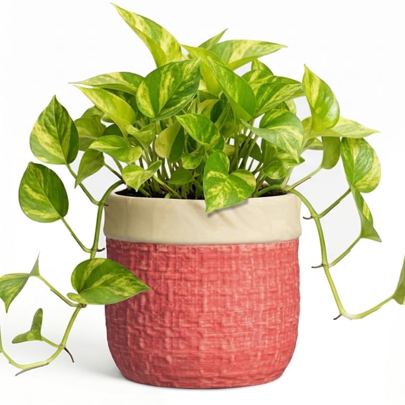 Ordivic 6 Inch Red Ceramic Planter with Drainage Hole – Round Flower Pot for Succulents, Orchids, Bold Indoor Outdoor Decor