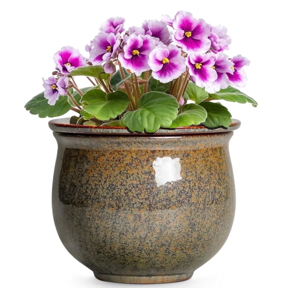 Ordivic 6 inch Vintage Brown Self Watering Ceramic African Violet Pot with Inner Pot,Indoor Porch Planter for ZZ Plant,Cactus ,Shelf,Table Decor