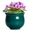 thumbnail image 1 of Ordivic 6 Inch Self Watering Plant Pot – Blackish Green Ceramic African Violet Planter with Absorbent Inner Pot, Easy Care Indoor Flower Pot, Room Decor, Gift for Plant Lover, 1 of 7