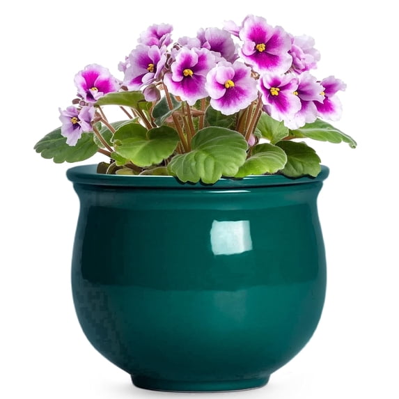Ordivic 6 Inch Self Watering Plant Pot – Blackish Green Ceramic African Violet Planter with Absorbent Inner Pot, Easy Care Indoor Flower Pot, Room Decor, Gift for Plant Lover