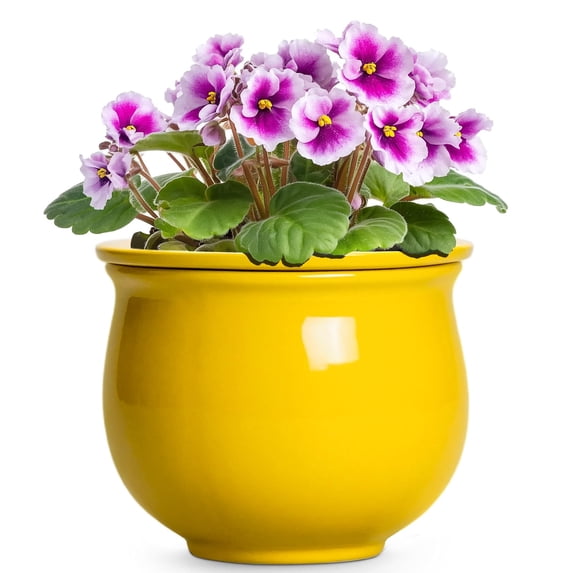 Ordivic 6 inch Yellow Self Watering Ceramic Plant Pot with Inner Pot,Round African Violet Planter for Mini Orchid, Spider Plant,Kitchen Windowsill,Office Decor