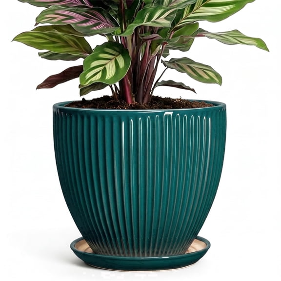 Ordivic 6 inch Dark Green Ceramic Planter Pot with Drainage Hole & Saucer, Vertical Ribbed Round Flower Pot for Aloe Vera,Pothos, Indoor Modern Decor Gift for Plant Lovers