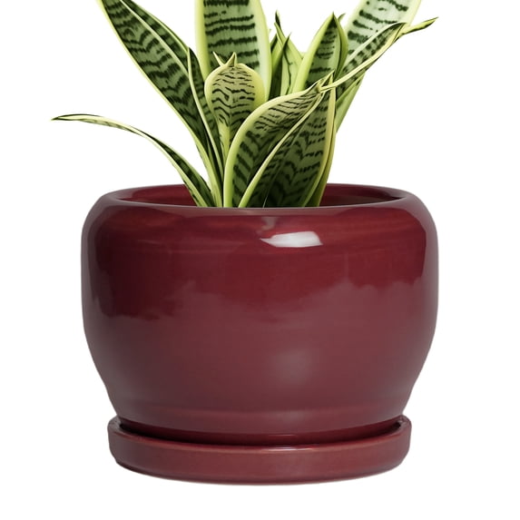 Ordivic 6 inch Glossy Red Ceramic Planter with Saucer & Drainage Hole, Small Tall Ceramic Planter for Snake Plants Office Home Decor
