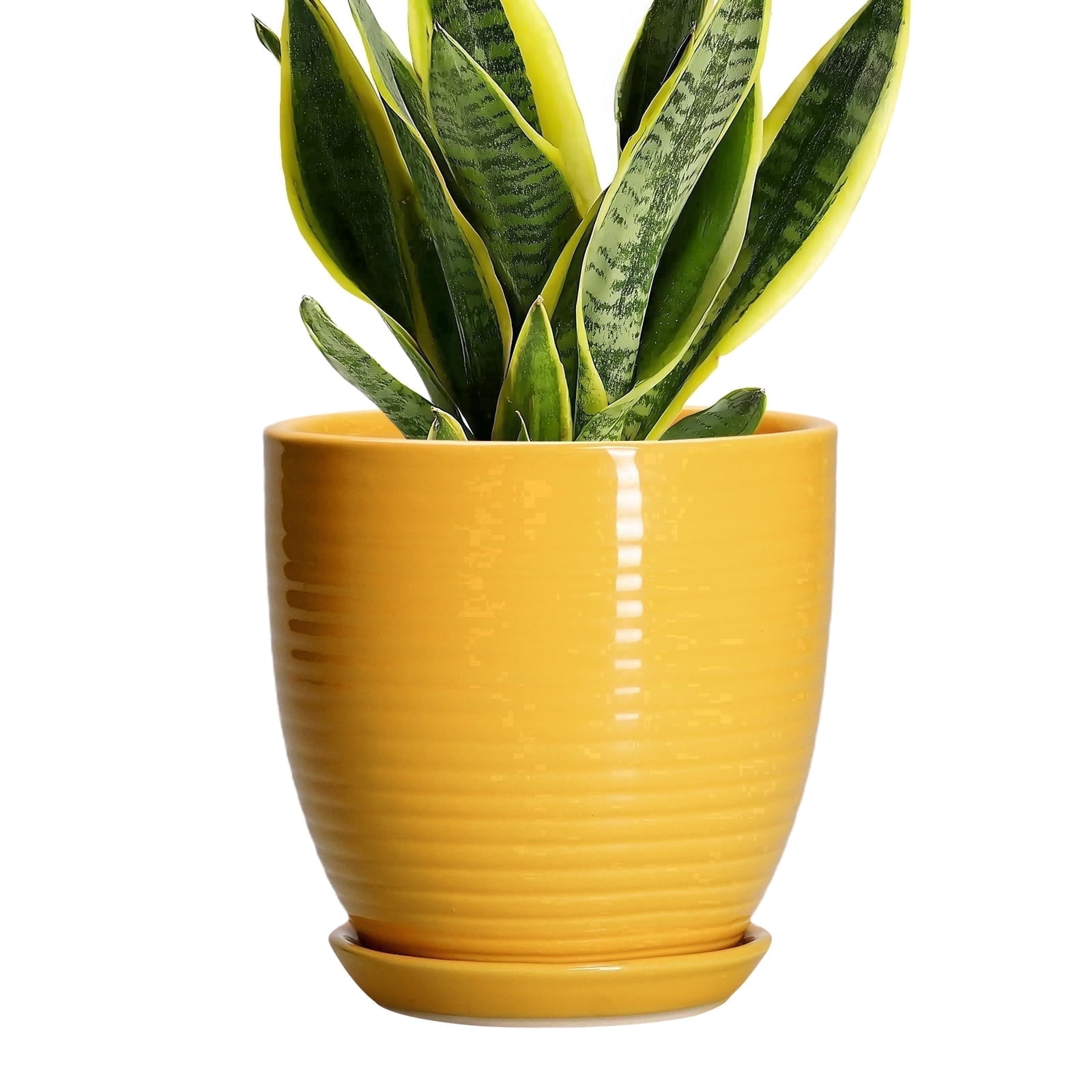 Ordivic 6 inch Yellow Ribbed Ceramic Plant Pot with Drainage Hole ...