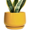 thumbnail image 1 of Ordivic 7 inch Yellow Ceramic Plant Pot with Drainage Hole & Saucer, Medium Indoor Outdoor Planter for Snake Plant, Pothos, Small ZZ Plant,Porch,Desk, 1 of 7
