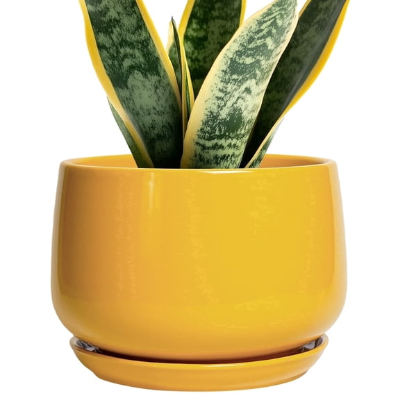 Ordivic 7 inch Yellow Ceramic Plant Pot with Drainage Hole & Saucer, Medium Indoor Outdoor Planter for Snake Plant, Pothos, Small ZZ Plant,Porch,Desk