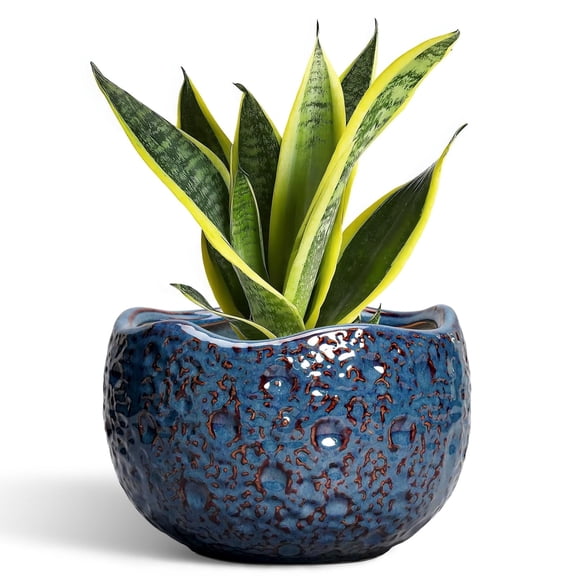 Ordivic 8 Inch Retro Blue Ceramic Planter with Drainage Hole – Round Flower Pot for Snake Plants, Bonsai, Unique Home Decor