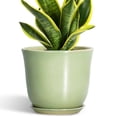 thumbnail image 1 of Ordivic 8 inch Green Ceramic Planter with Drainage Hole and Saucer | Modern Indoor Flower Pot for Snake Plants, Office & Home Decor, 1 of 6