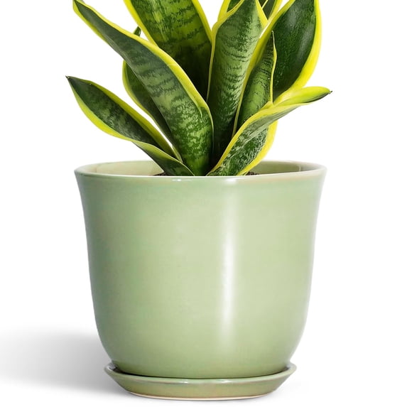 Ordivic 8 inch Green Ceramic Planter with Drainage Hole and Saucer | Modern Indoor Flower Pot for Snake Plants, Office & Home Decor