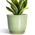 thumbnail image 1 of Ordivic 8 inch Green Ceramic Planter with Drainage Hole and Saucer | Modern Indoor Flower Pot for Snake Plants, Office & Home Decor, 1 of 7