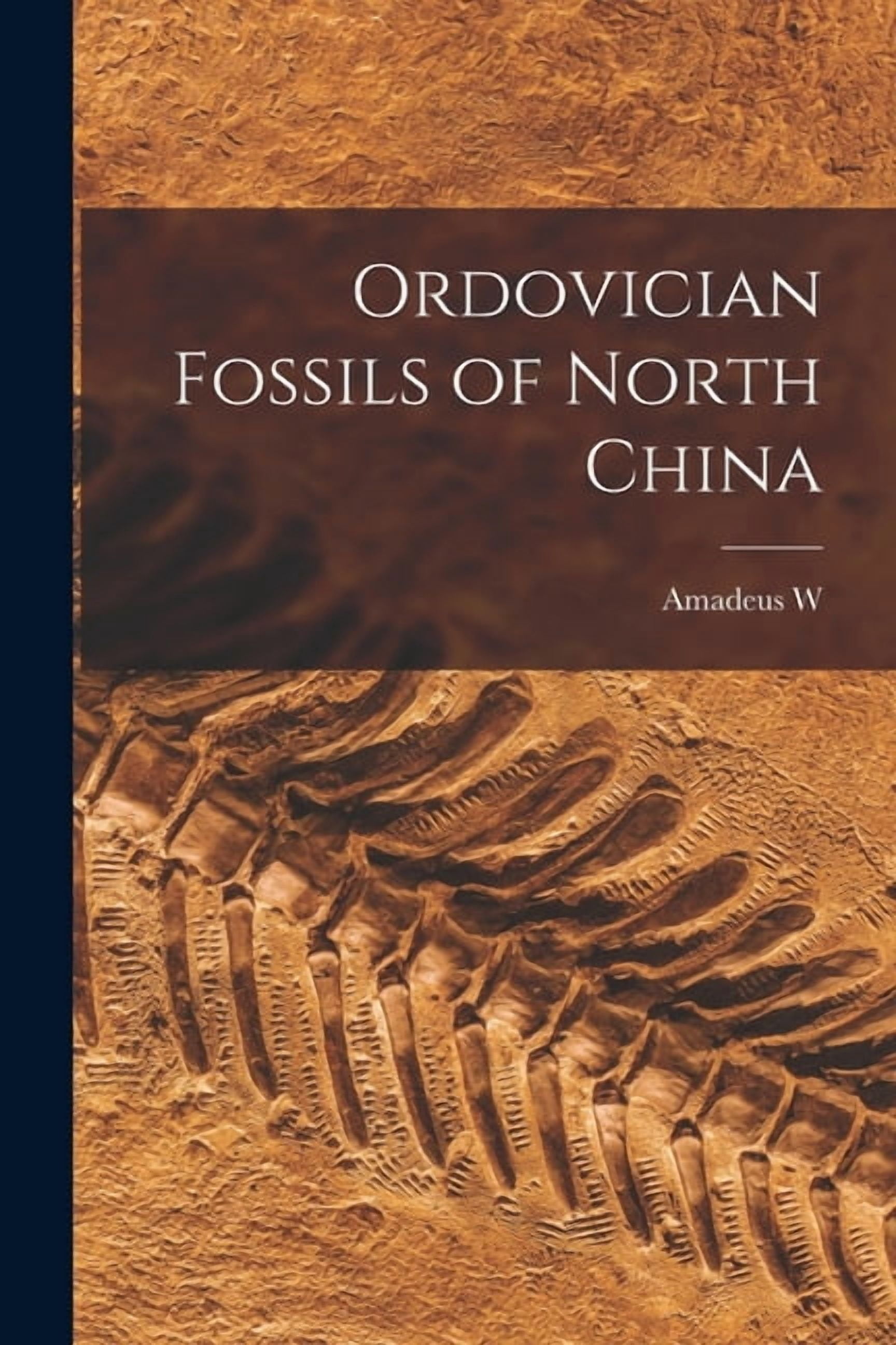 Ordovician Fossils of North China (Paperback) - Walmart.com